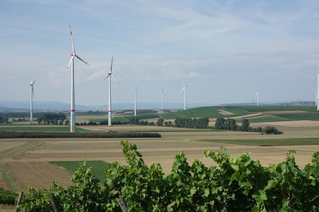 Antjes Ferienwohnung Flonheim Bilik gambar